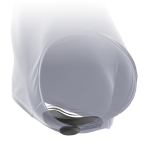 BLACKSILVER - PANTALONE VIBRATORE IN SILICONE RICARICABILE PRESTON NERO - immagine 5