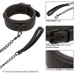 CALEXOTICS - NOCTURNAL COLLARE E GUINZAGLIO IN PELLE REGOLABILE NERO - immagine 4