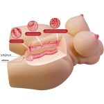 CRAZY BULL - GRACE TORSO FEMMINILE REALISTICO VAGINA E ANALE 7,5 KG - immagine 5